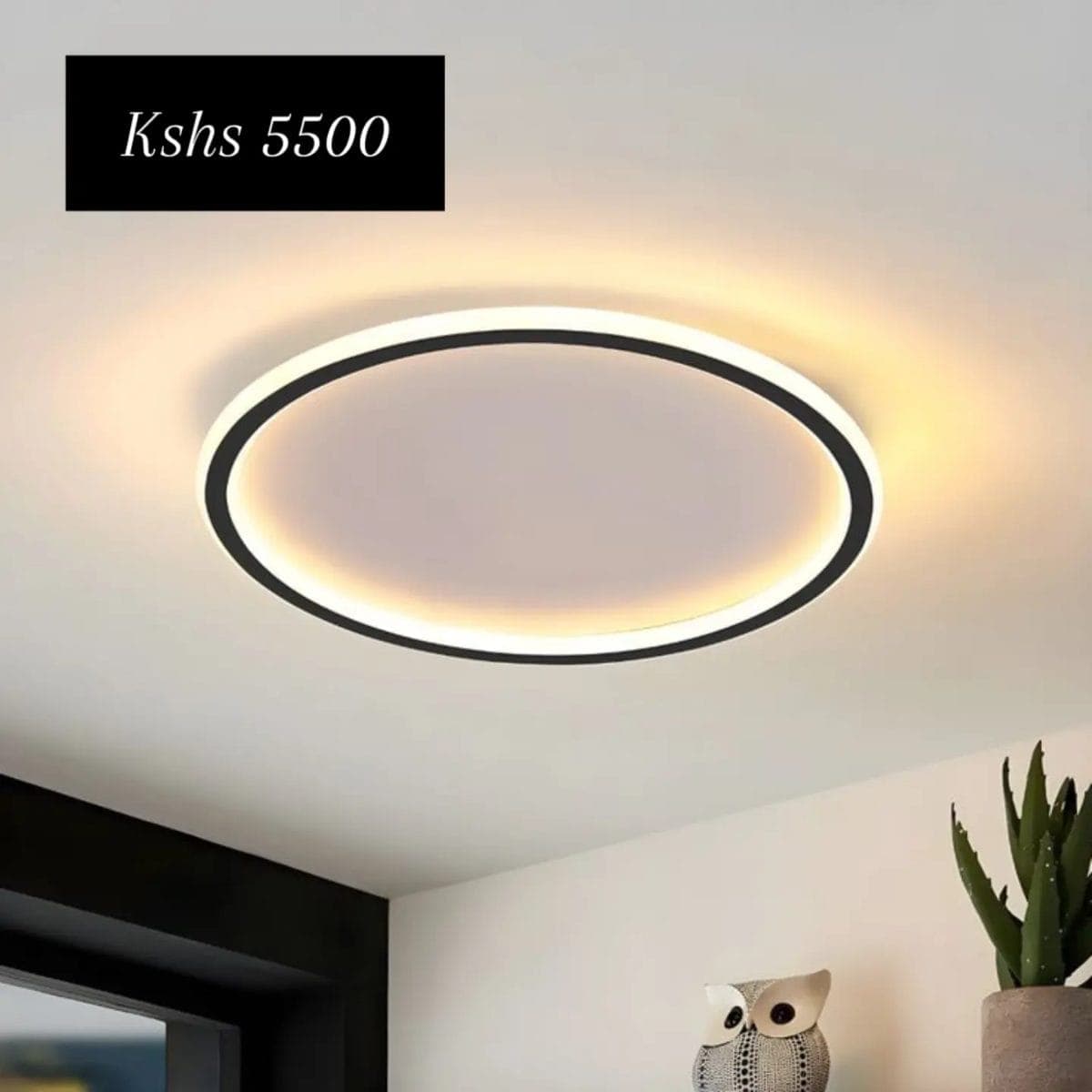 ceiling lights
