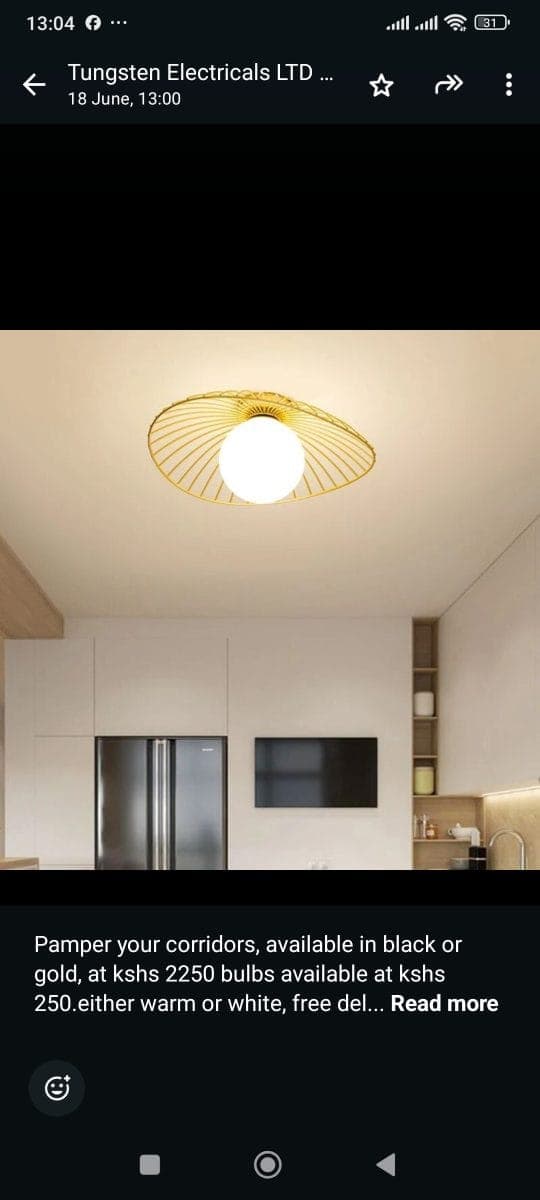 1001034423 Decor ceiling lights